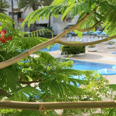 شقة Super Cozy Holiday At South Tenerife طوستا ديل سيلونثيو